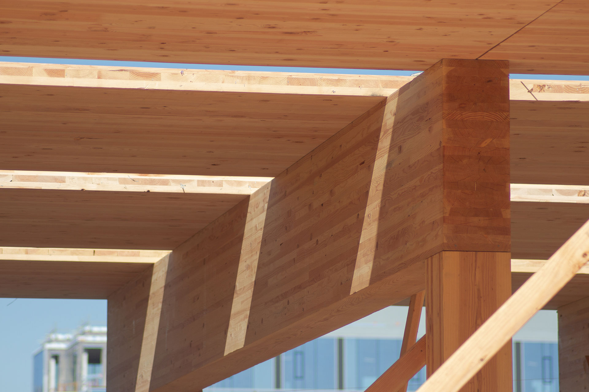 DRJ Wood Innovations Leading CLT Manufacturer